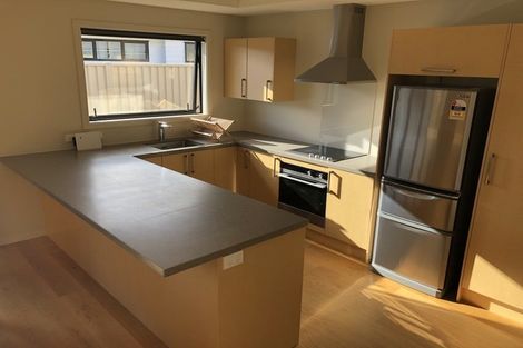 Photo of property in 3 Violet Way, Lower Shotover, Queenstown, 9304