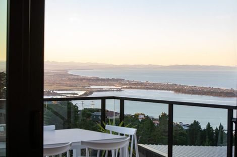 Photo of property in 307a Mount Pleasant Road, Mount Pleasant, Christchurch, 8081