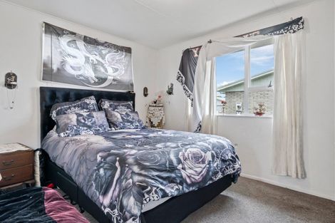 Photo of property in 42 Hinemoa Street, Levin, 5510