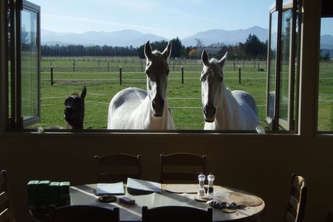 Photo of property in 298 Birch Hill Road, Okuku, Rangiora, 7473