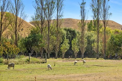 Photo of property in 553b Ardgour Road, Tarras, Cromwell, 9383