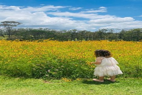 Photo of property in 185 Valencia Lane, Kerikeri, 0293