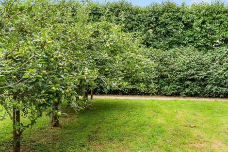 Photo of property in 359a Kuku Road East, Kuku, Levin, 5570