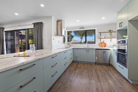 Photo of property in 93 George Street, Tinwald, Ashburton, 7700