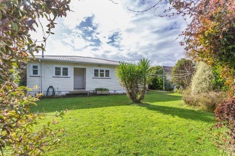 Photo of property in 21 Carlisle Street, Levin, 5510
