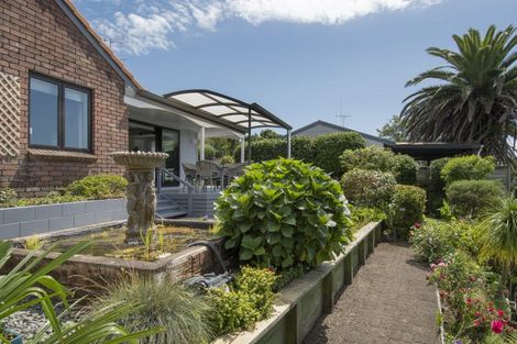 Photo of property in 68b Hammond Street, Hairini, Tauranga, 3112