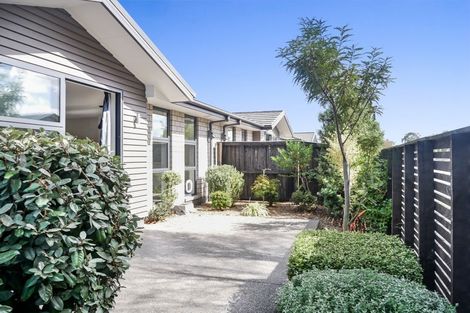 Photo of property in 53a Grafton Street, Waltham, Christchurch, 8011