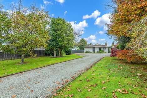 Photo of property in 41a Wakeman Street, Pahiatua, 4910