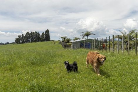 Photo of property in 96 Peers Road, Omanawa, Tauranga, 3171