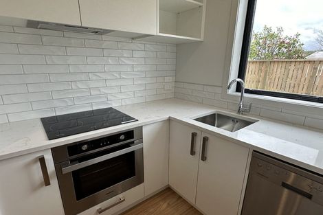 Photo of property in 28b York Street, Levin, 5510