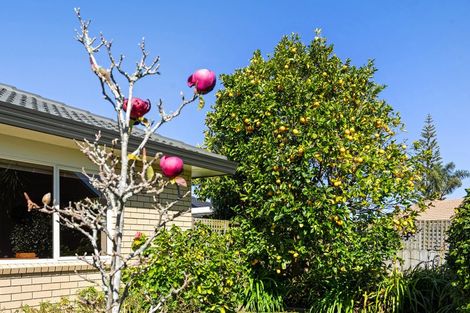 Photo of property in 40 Settlers Grove, Orewa, 0931