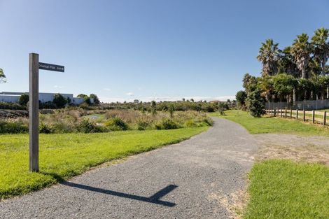 Photo of property in 11 St Clair Place, Browns Bay, Auckland, 0630
