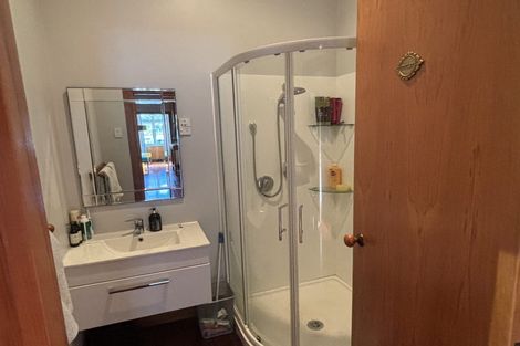 Photo of property in 217 Kenilworth Road, Mayfair, Hastings, 4122