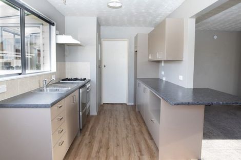 Photo of property in 113 Kitchener Street, Gore, 9710