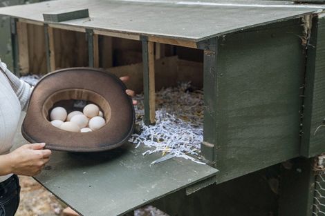 Photo of property in 241 Rea Road, Tahawai, Katikati, 3178