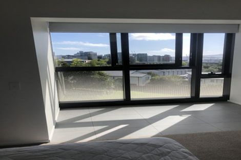 Photo of property in Luna Apartments, 4c/16 Burton Street, Grafton, Auckland, 1010