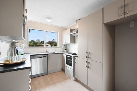 Photo of property in 51a Alfred Street, Fairfield, Hamilton, 3214