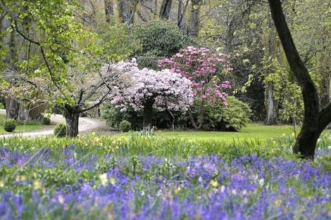 Photo of property in Holme Station Homestead, 1199 Pareora River Road, Maungati, Timaru, 7972