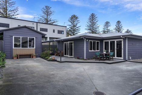 Photo of property in 102a Mcgrath Street, Napier South, Napier, 4110