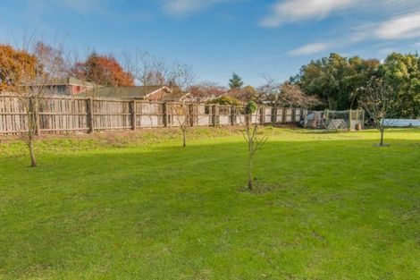 Photo of property in 21 Brook Street, Southbridge, 7602