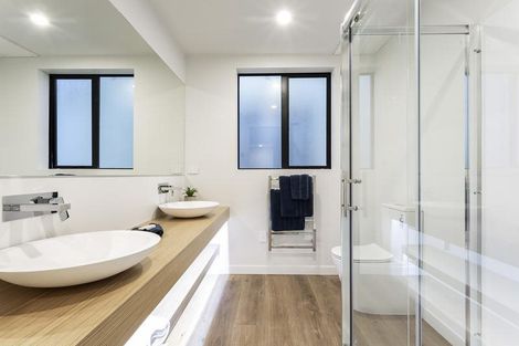 Photo of property in 23 Selkirk Street, Roslyn, Dunedin, 9010