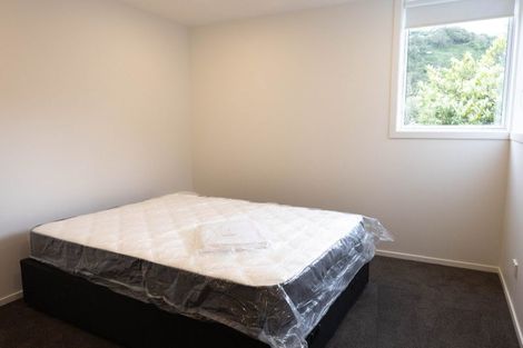 Photo of property in 33 Malvern Street, Woodhaugh, Dunedin, 9010