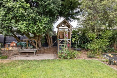 Photo of property in 8 Naylor Street, Hamilton East, Hamilton, 3216