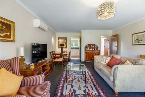 Photo of property in 44 Franklin Avenue, Hokowhitu, Palmerston North, 4410