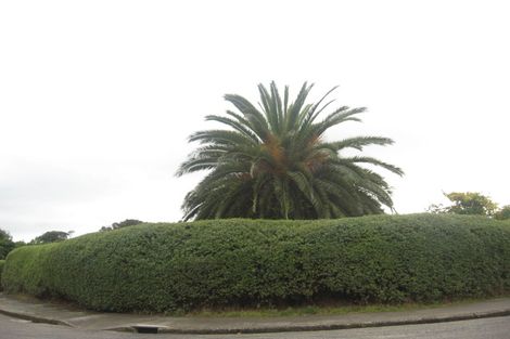 Photo of property in 113 Tilley Road, Paekakariki, 5034