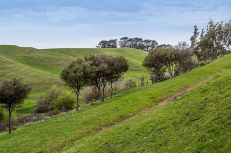 Photo of property in 48 Norsewood Ormondville Road, Norsewood, 4974