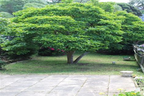 Photo of property in 153 York Place, Dunedin Central, Dunedin, 9016