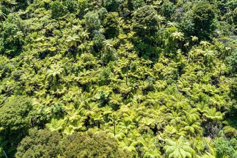 Photo of property in 871c Tiki Quarry Road, Preece Point, Coromandel, 3581