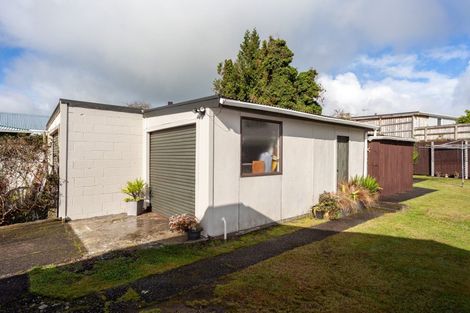 Photo of property in 65 Morvern Crescent, Tokoroa, 3420