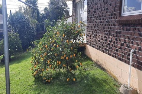 Photo of property in 85 Astley Avenue, New Lynn, Auckland, 0600