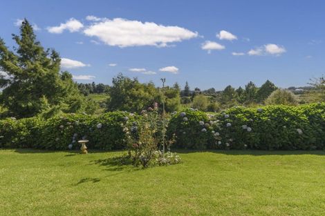 Photo of property in 87 Solomon Street, Brookfield, Tauranga, 3110