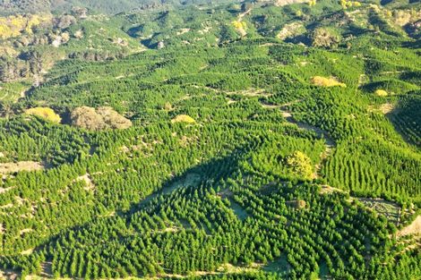 Photo of property in 751 Ongo Road, Hunterville, 4782