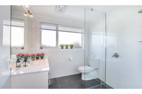 Photo of property in 38 Colombo Street, Cashmere, Christchurch, 8022