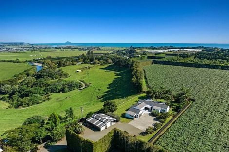 Photo of property in 304 Tablelands Road, Tirohanga, Opotiki, 3197