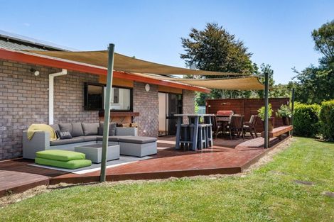 Photo of property in 17 Buller Street, Waihi, 3610