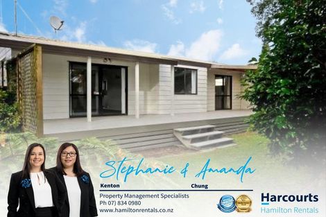 Photo of property in 269 Clarkin Road, Fairfield, Hamilton, 3214