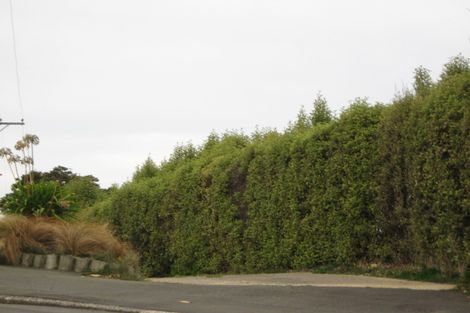 Photo of property in 17 Kenmure Road, Belleknowes, Dunedin, 9011