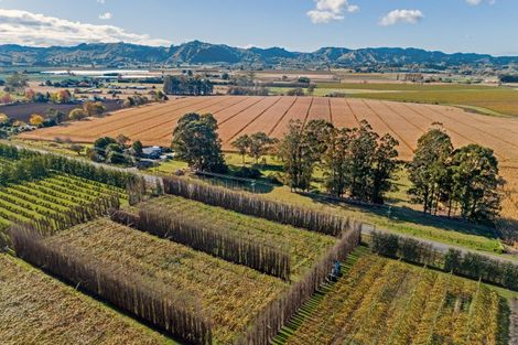 Photo of property in 268 Matawai Road, Waerengaahika, Gisborne, 4071