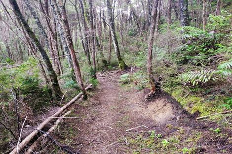 Photo of property in 1579 Tairua Whitianga Road, Whenuakite, Whitianga, 3591