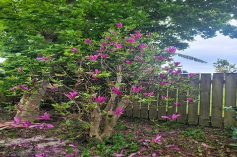 Photo of property in 17 Hakanoa Street, Huntly, 3700