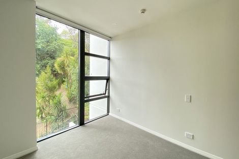 Photo of property in 105/8 Kingsland Terrace, Kingsland, Auckland, 1021