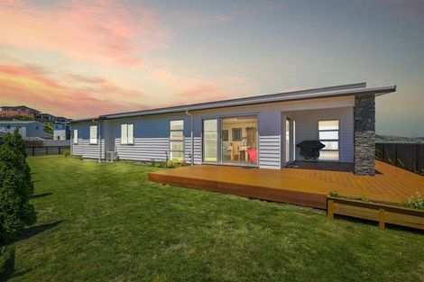Photo of property in 112 John Burke Drive, Aotea, Porirua, 5024