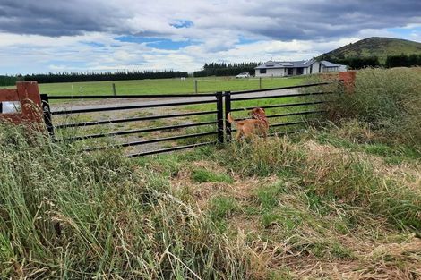 Photo of property in 410 Harmans Gorge Road, View Hill, Oxford, 7495