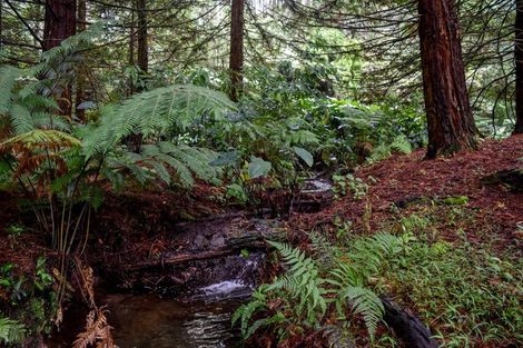Photo of property in 14 Tupelo Place, Ohauiti, Tauranga, 3112