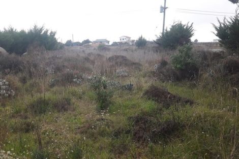 Photo of property in 145 Poranui Beach Road, Little River, 7591