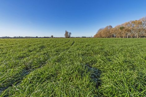 Photo of property in 12 Bramleys Road, Flaxton, Kaiapoi, 7691